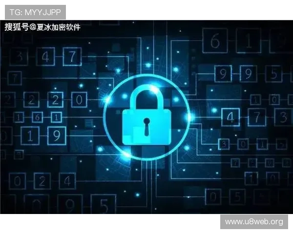 U体育百家乐官网的安全保障措施与隐私保护政策全面解读